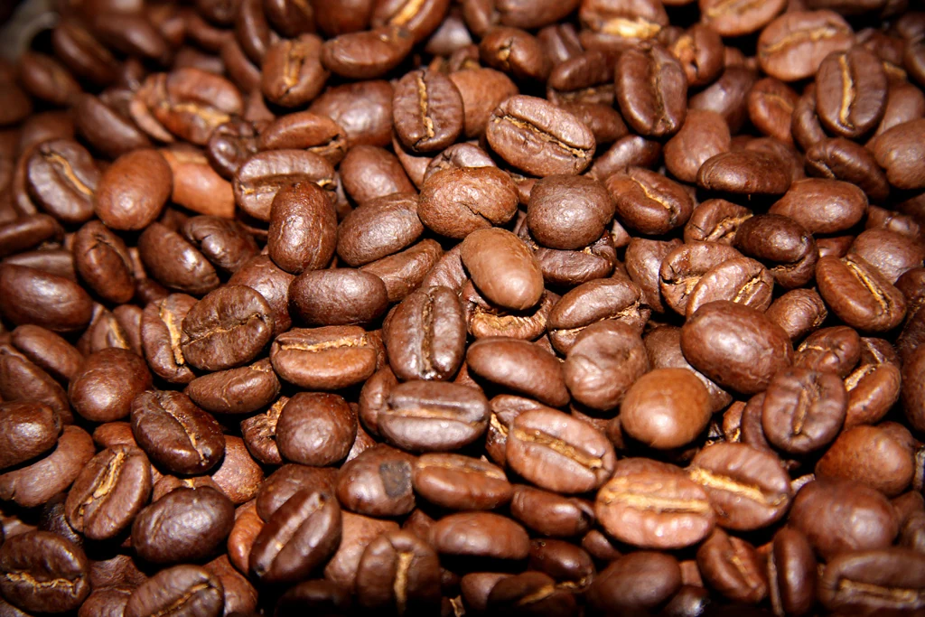 Granos de café tostado, imagen temática del archivo de Coatepec Mágico. No identifica productor ni lote