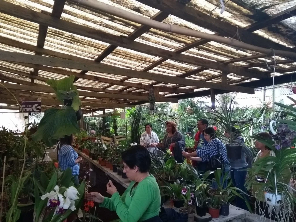 Museo de la Orquídea según la ficha publicada en Coatepec Mágico
