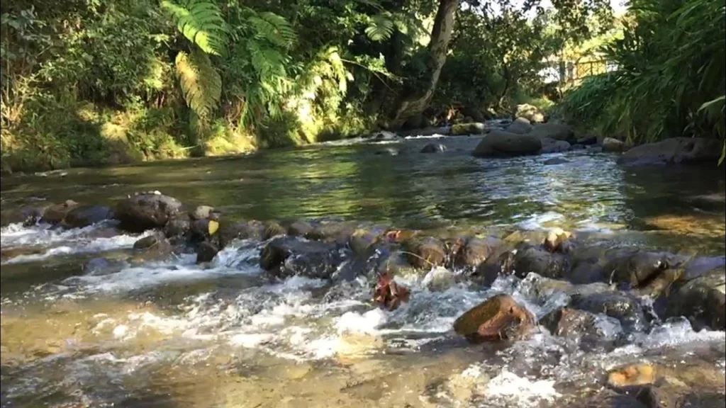 Río La Marina, Coatepec, según la nota de RTV/MásNoticias de 2019