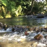 La Marina en Coatepec: un paseo para conocer el paisaje del río